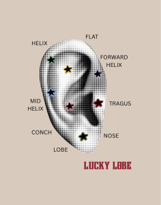 Ear Diagram (11 x 14 in)